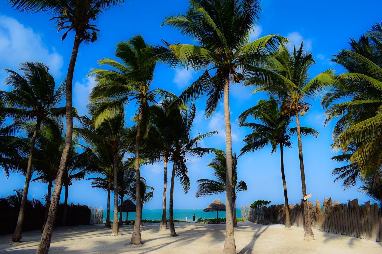 Bwejuu Beach Palm Villa Luaran gambar